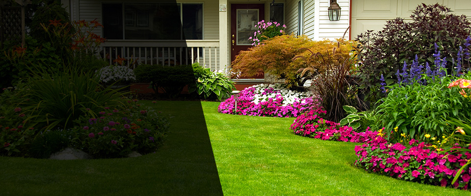 Pembroke Landscapers